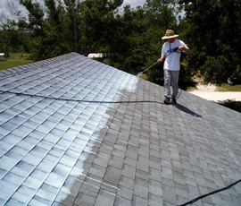 roof painting palm beach