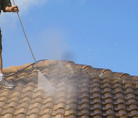 roof painting palm beach